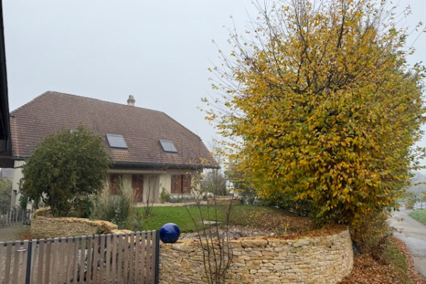 haus-2B12FCDCD-BC4D-CB64-E936-DA4E221BAF07.jpg
